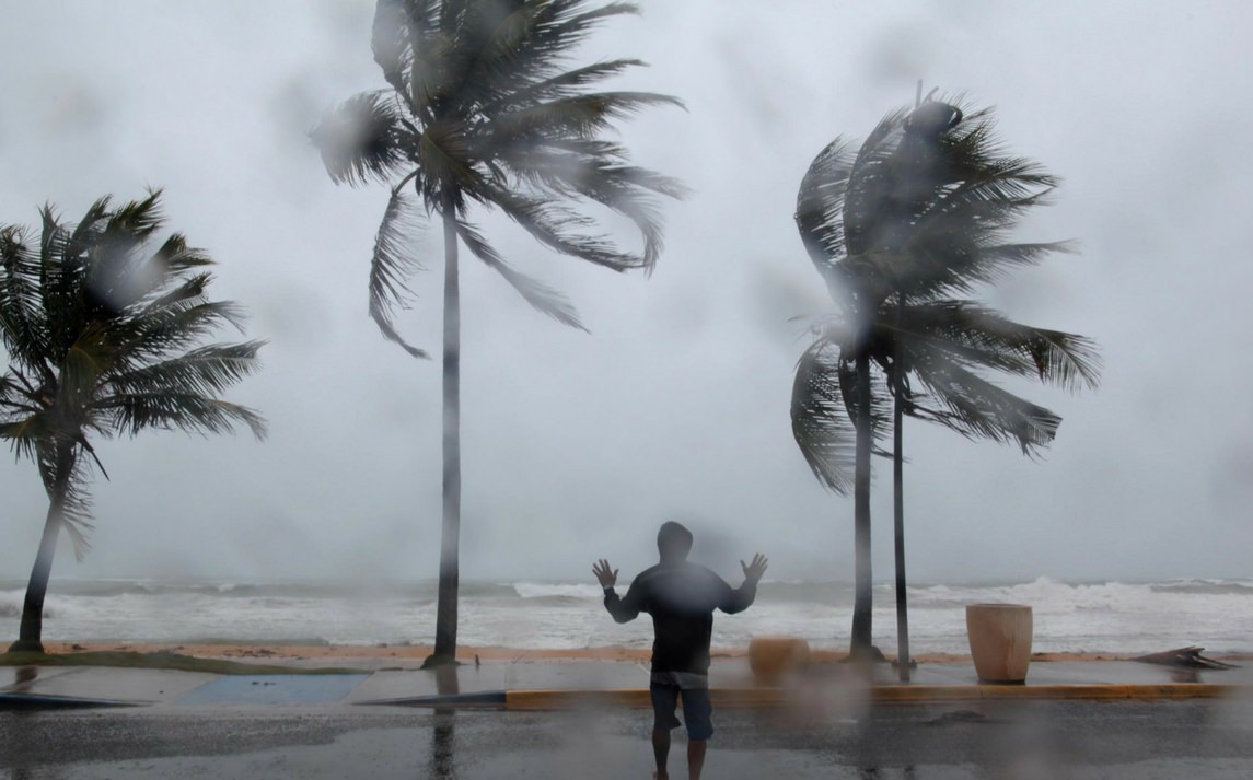 Uomo che sfida un uragano mentre venti forti muovono le palme, rappresentando la resilienza della natura a La Palma.
