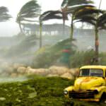 Un vecchio camion giallo abbandonato in una zona costiera durante un uragano, con alberi piegati dal vento forte e nebbia marittima.