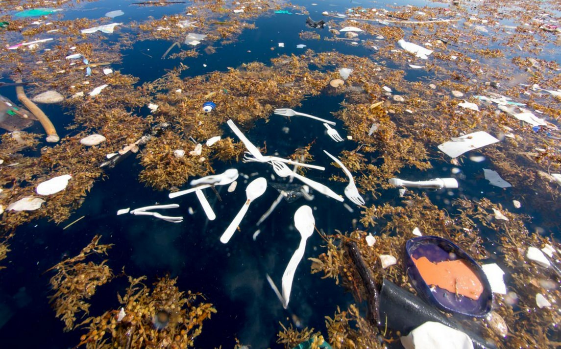 Acqua del Pacifico infestata da plastica, con posate di plastica a galleggiare tra alghe, evidenziando l'inquinamento marino.