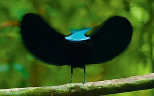 NUOVO PER IMMAGINE IN EVIDENZA SITO 10