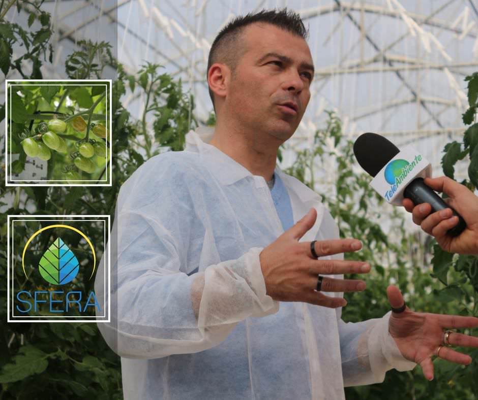 SFERA, LA SERRA WATERFOOD. UNA START UP PER UNA NUOVA AGRICOLTURA SOSTENIBILE. VIDEO 1 29365648 611023625913632 529364705030963200 n