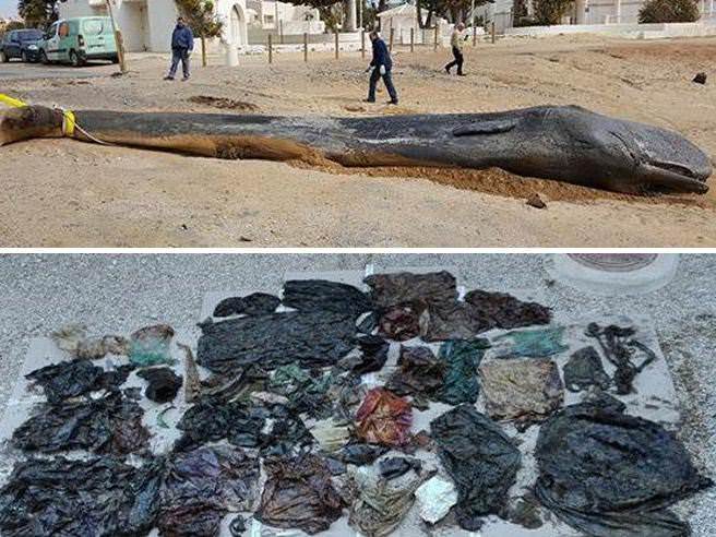 3498ade0 3cce 11e8 87b2 a646d975b0f5