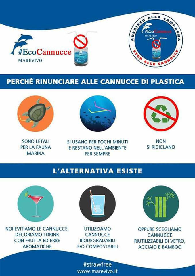 photo 2018 06 14 12 48 50