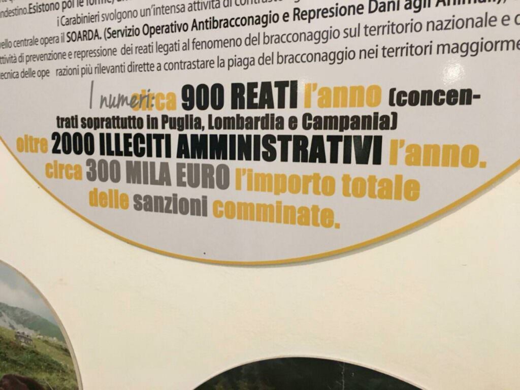 MACRI, MUSEO DEI CRIMINI AMBIENTALI. SENSIBILIZZARE ALLA TUTELA DELLA BIODIVERSITÀ 4 bio