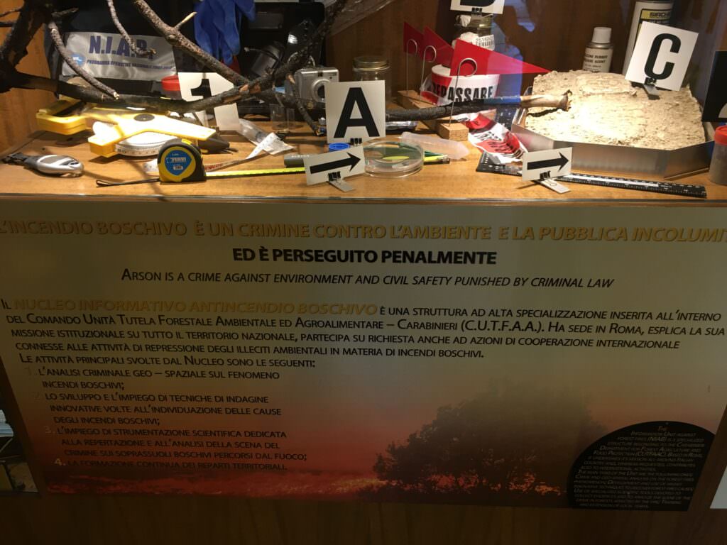 MACRI, MUSEO DEI CRIMINI AMBIENTALI. SENSIBILIZZARE ALLA TUTELA DELLA BIODIVERSITÀ 1 bio 2