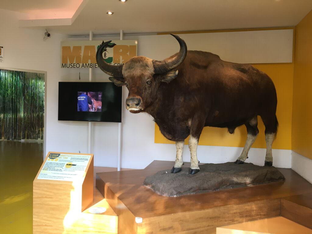 MACRI, MUSEO DEI CRIMINI AMBIENTALI. SENSIBILIZZARE ALLA TUTELA DELLA BIODIVERSITÀ 2 bio 3