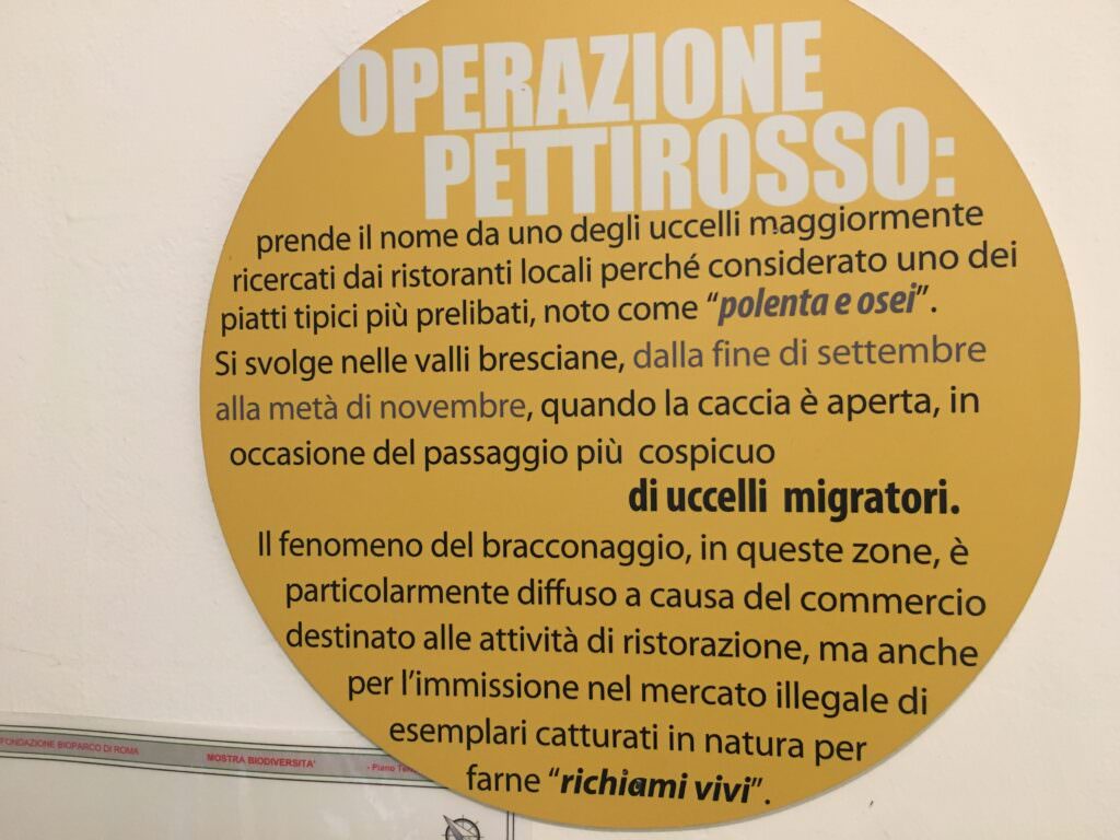 MACRI, MUSEO DEI CRIMINI AMBIENTALI. SENSIBILIZZARE ALLA TUTELA DELLA BIODIVERSITÀ 3 bio 4