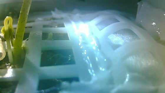 171911524 bd0889c3 74bd 4dd8 923a ecb108283d2b