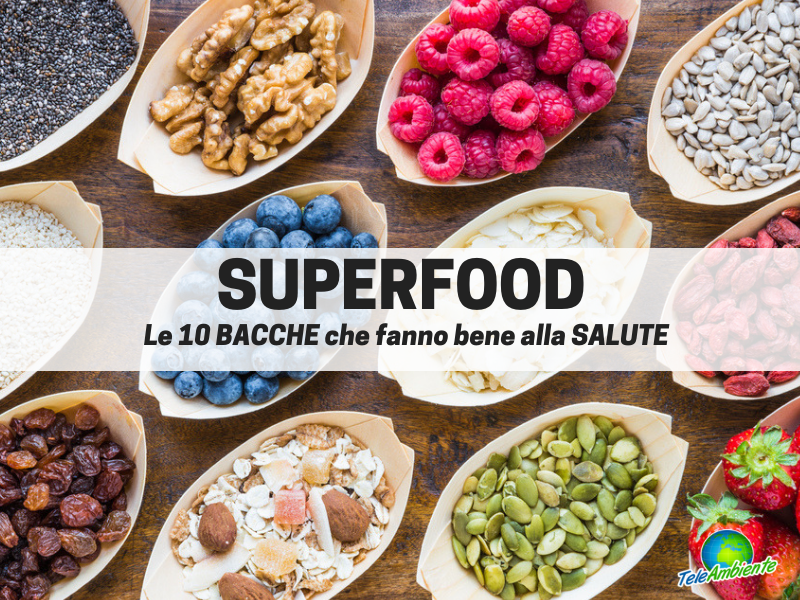 bacche migliori lista