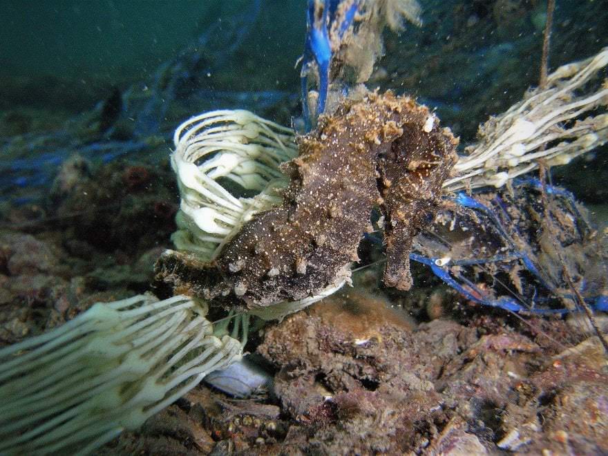 160844276 58ccbdd5 bc99 4bb7 993d 6ad22dd40785