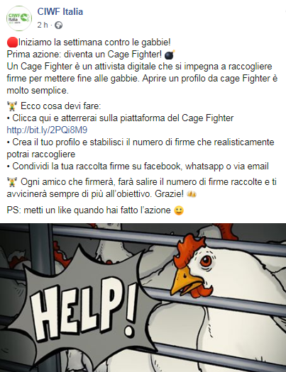 End the Cage Age, settimana di mobiltazione contro l'allevamento in gabbia VIDEO 2 ciwf italia