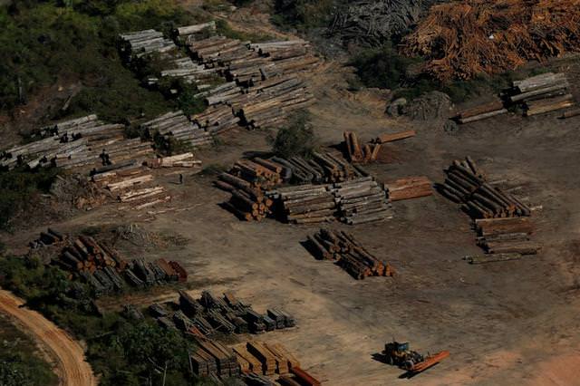 Deforestazione, i satelliti mostrano cosa è cambiato da quando c'è Bolsonaro 2 1
