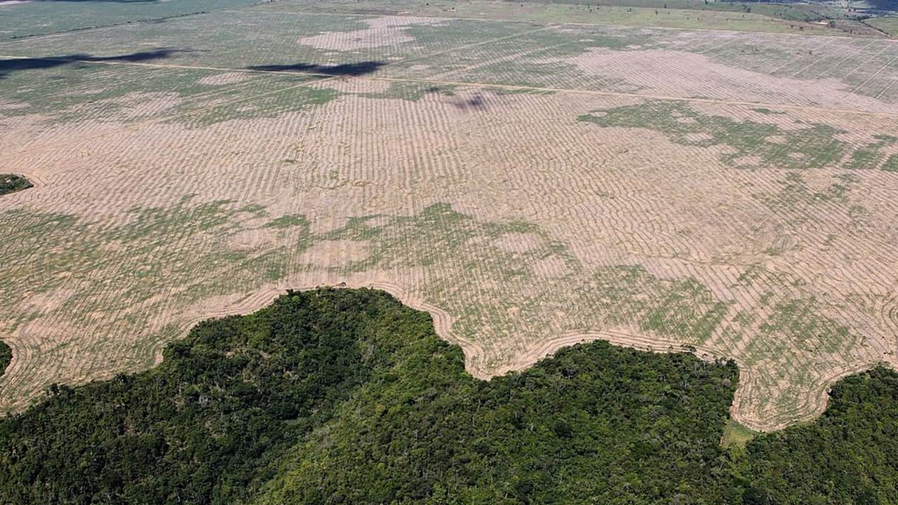 Deforestazione, i satelliti mostrano cosa è cambiato da quando c'è Bolsonaro 1 3