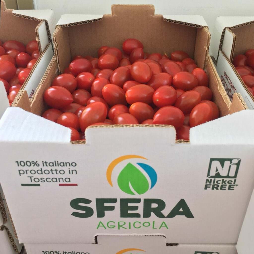 Sfera Agricola e il nuovo polo tecnologico dell'agroalimentare. Un esempio per giovani e aziende 3 pomodorini serra sfera