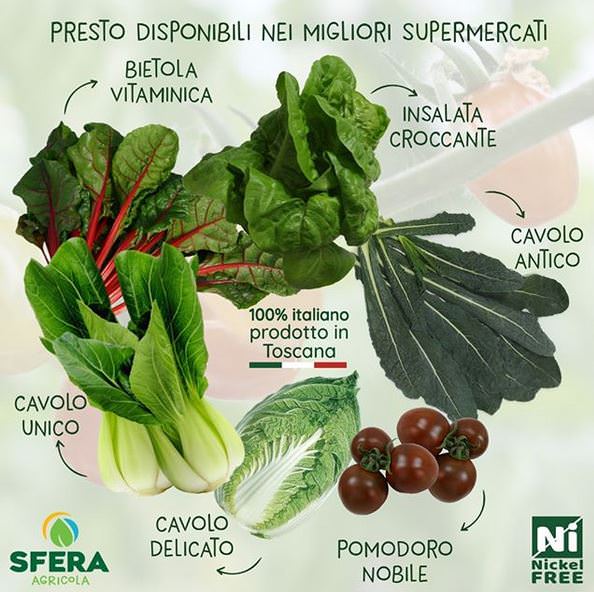 Sfera Agricola e il nuovo polo tecnologico dell'agroalimentare. Un esempio per giovani e aziende 4 prodotti sfera