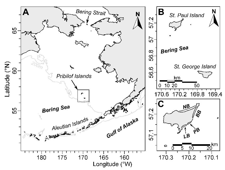 pulcinelle di mare mappa