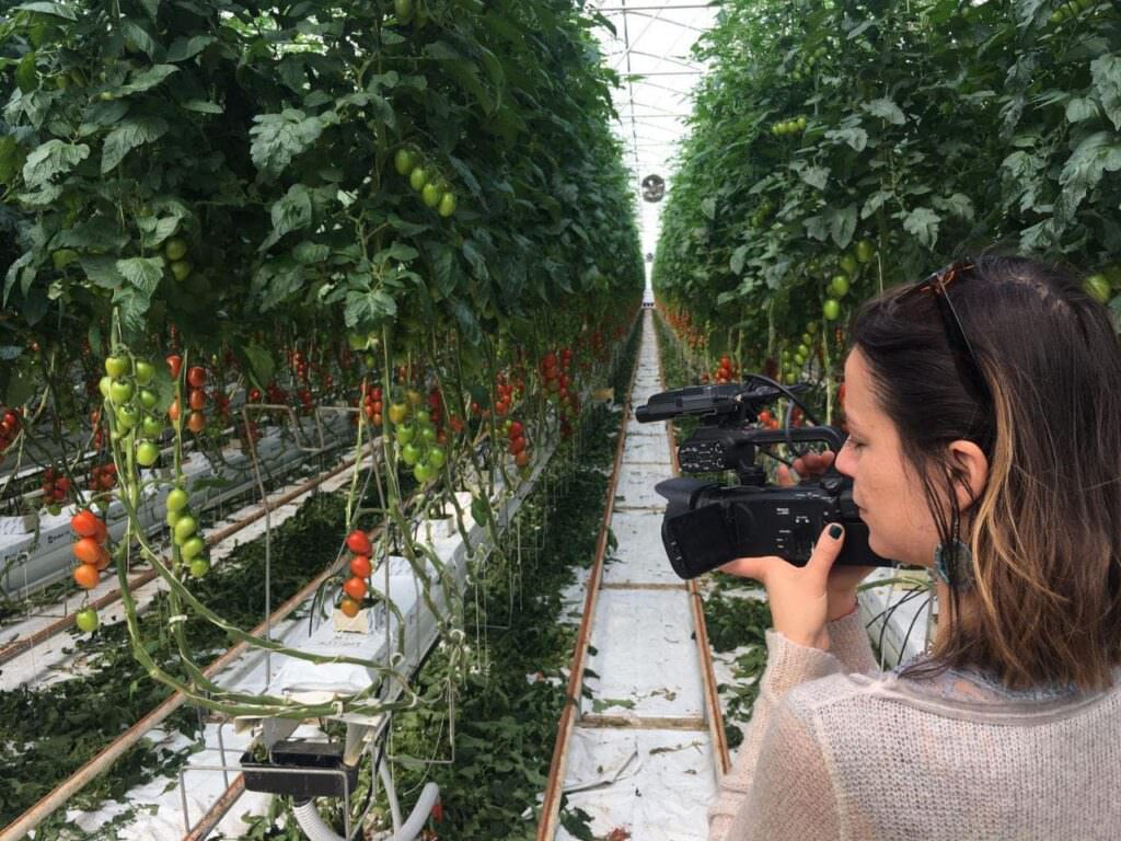Sfera Agricola e il nuovo polo tecnologico dell'agroalimentare. Un esempio per giovani e aziende 8 sfera serra