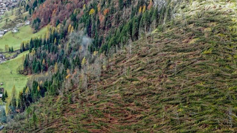 famiglia ritorna a casa dopo vaia