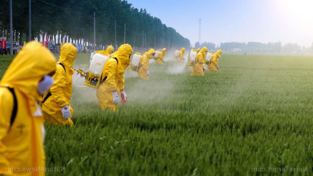 glifosato corte europea 7