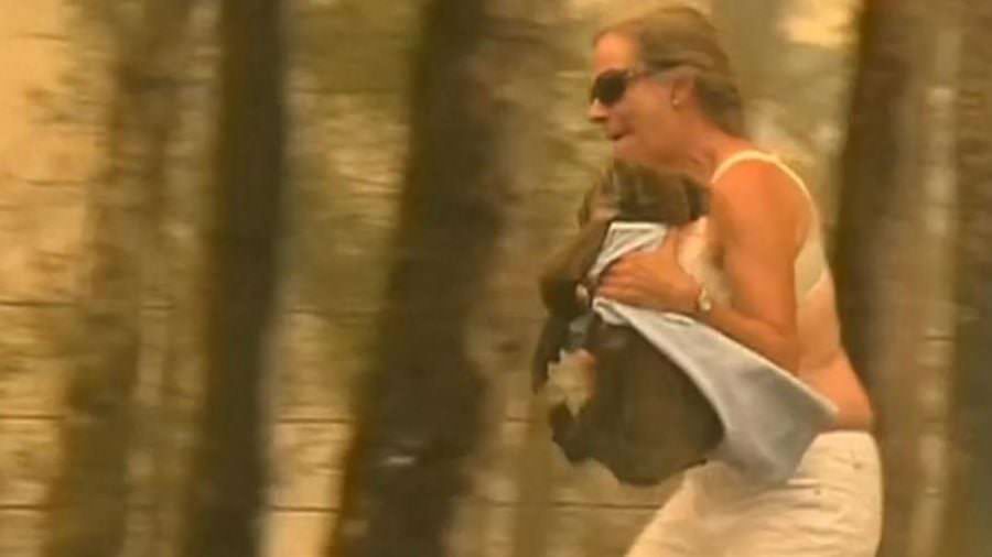 incendi donna salva koala 3 e1574258474177