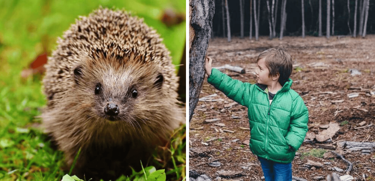 Scuola, bambini almeno un’ora al giorno a contatto con la natura