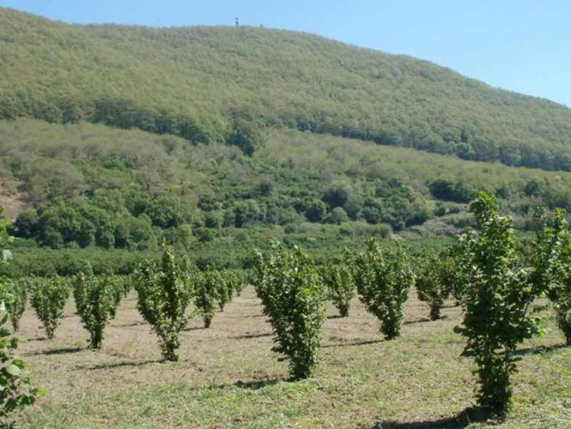 lago Bolsena rischio 7 e1577440136115