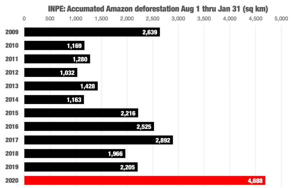 Statistica deforestazione e1581341604182