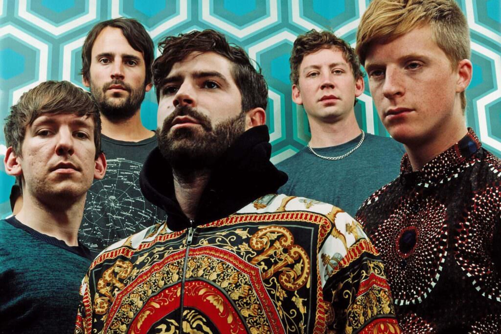 The foals