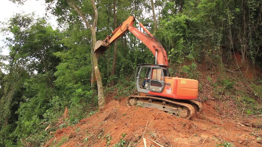 deforestazione bulldozer