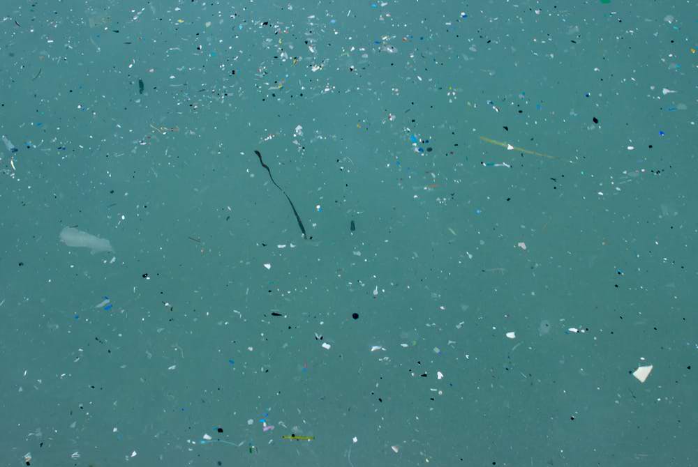 microplastiche mare