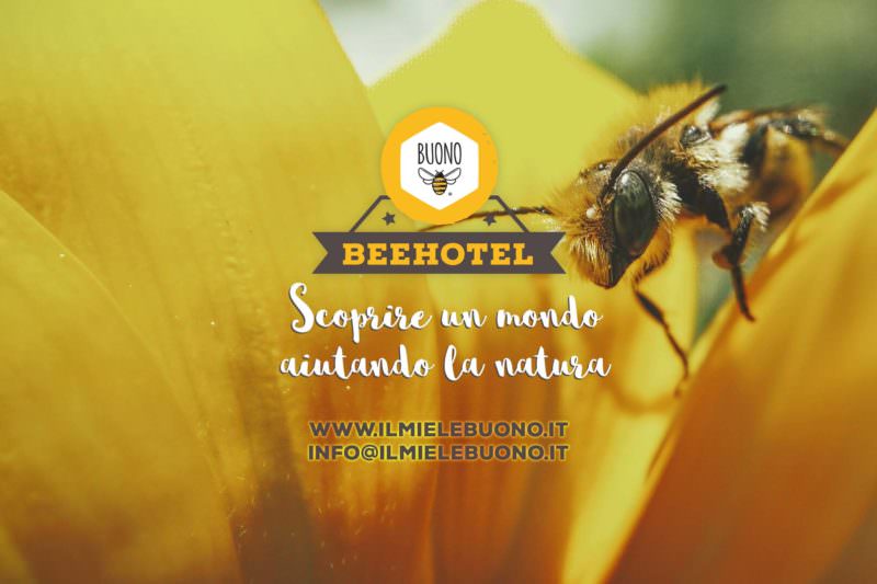 situazione api italia 3 e1589548437191