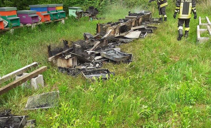 situazione api italia 4