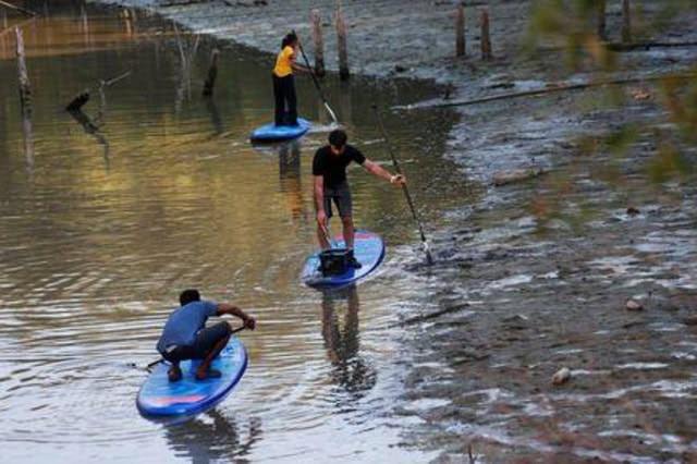 surf rifiuti volontari