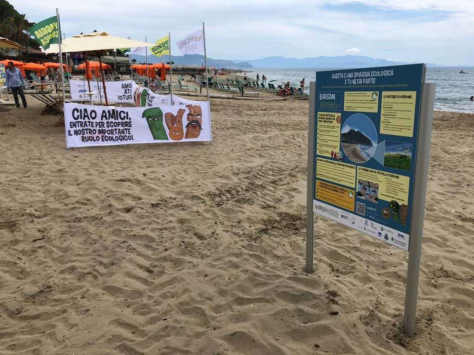 105003417 3123241324385618 1314414182938941291 o