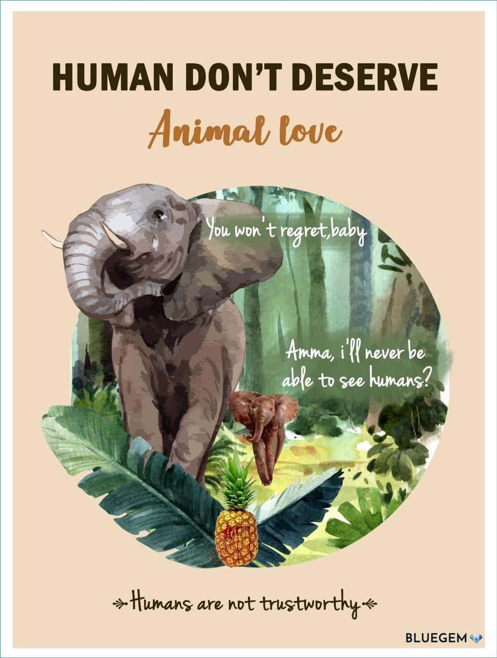 elefante incinta uccisa 6