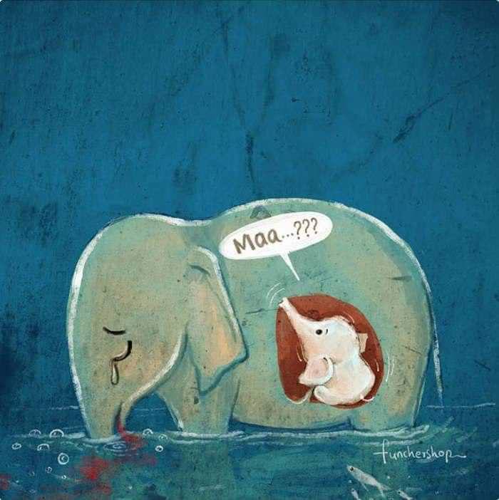 elefante incinta uccisa 7