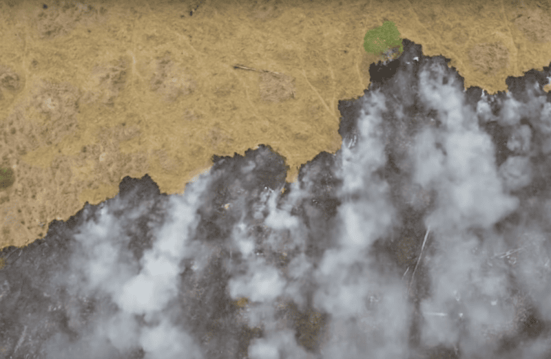 incendio amazzonia circolo vizioso 4 e1595929965848