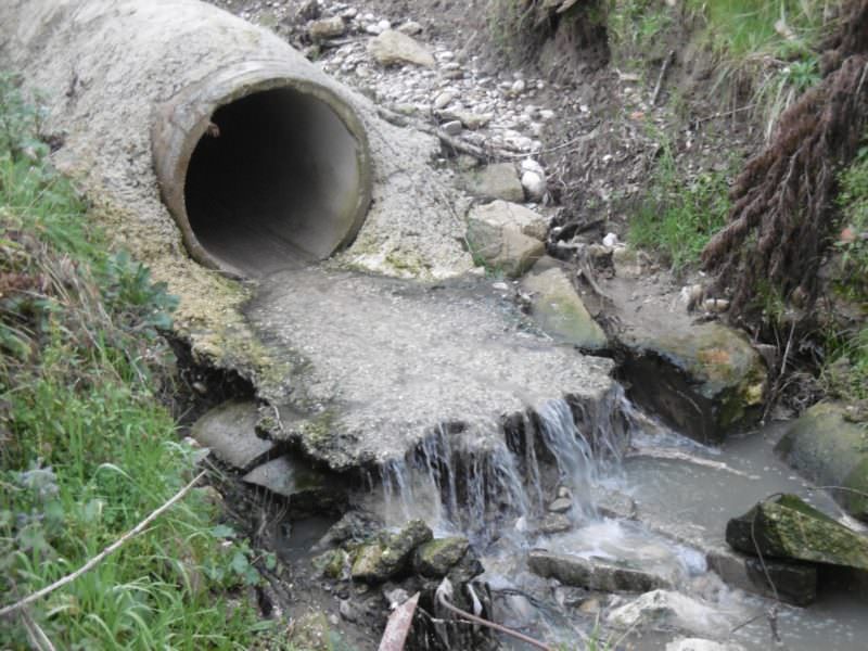 salute microrganismi fogne 2 e1594048756947