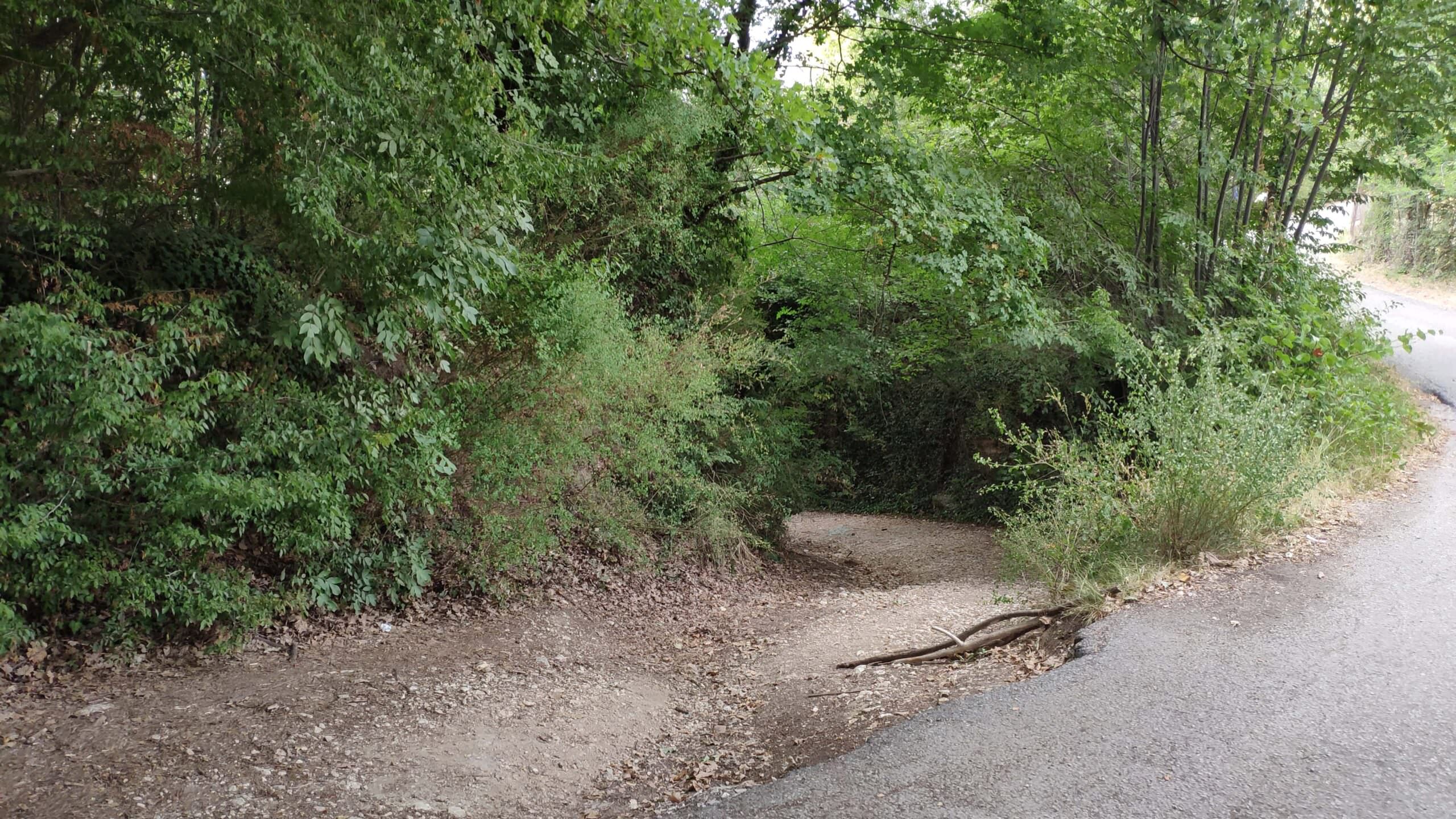 IMG 20200806 185820 scaled