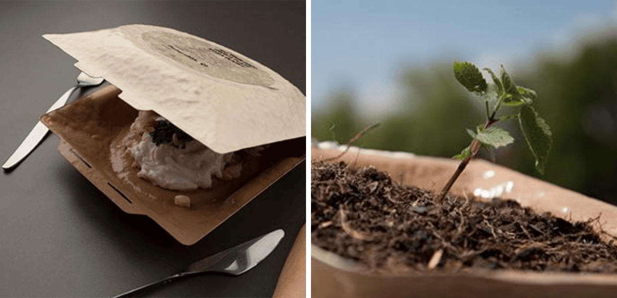 Mangia il cibo, coltiva una pianta e salva il pianeta. L'idea per imballaggi del designer Michal Marko