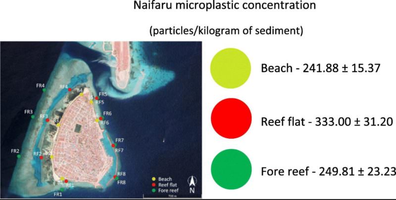 maldive microplastiche e1596805909644