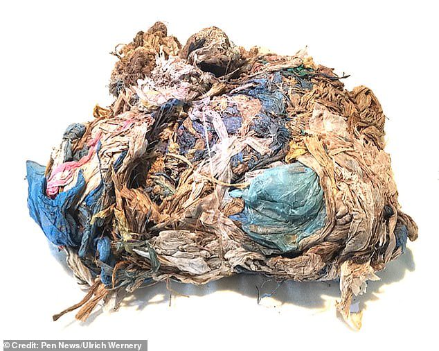 37138346 9078397 image a 4 1608626402578