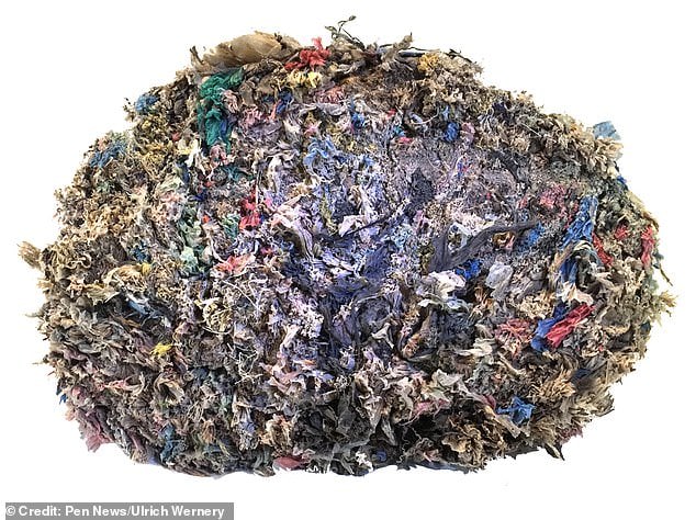 37138354 9078397 image a 3 1608626395485