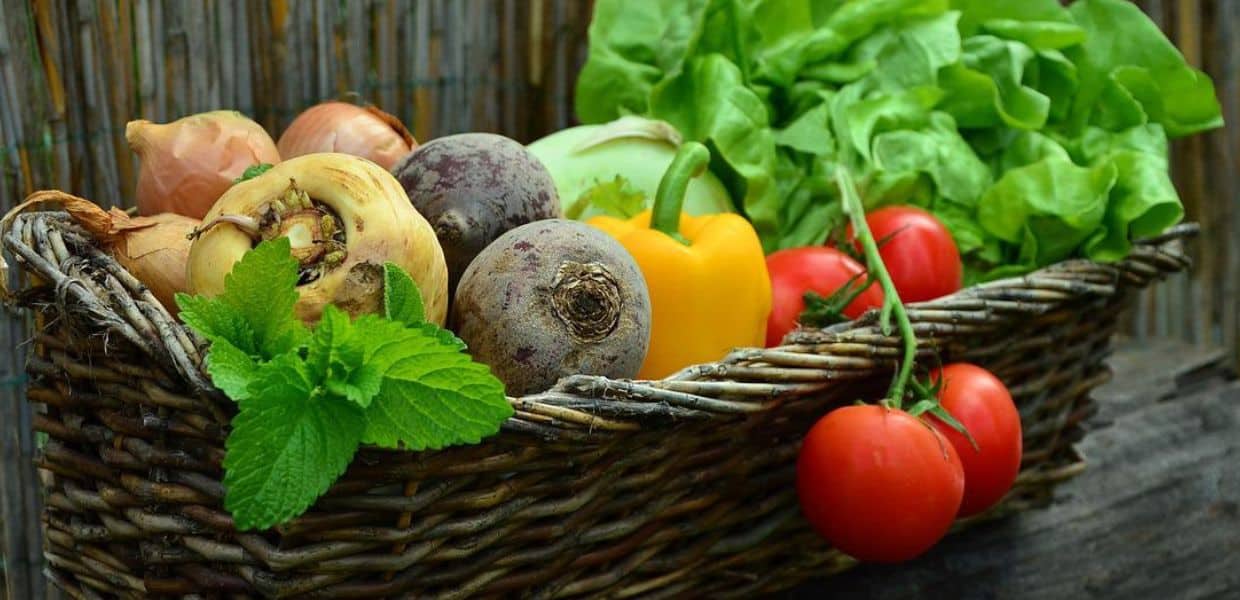 andrea segrè sprechi alimentari