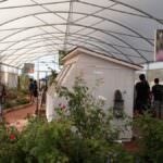 banner small farfalle 6