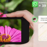 salviamo le farfalle friend of the earth