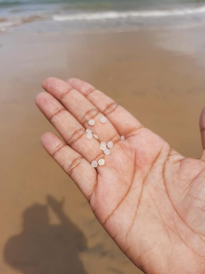 208565624 2935217633360265 4456039355280091868 n