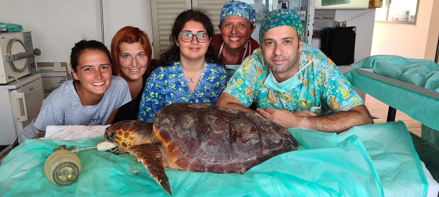 218865592 7248553441860935 2593874202682028919 n