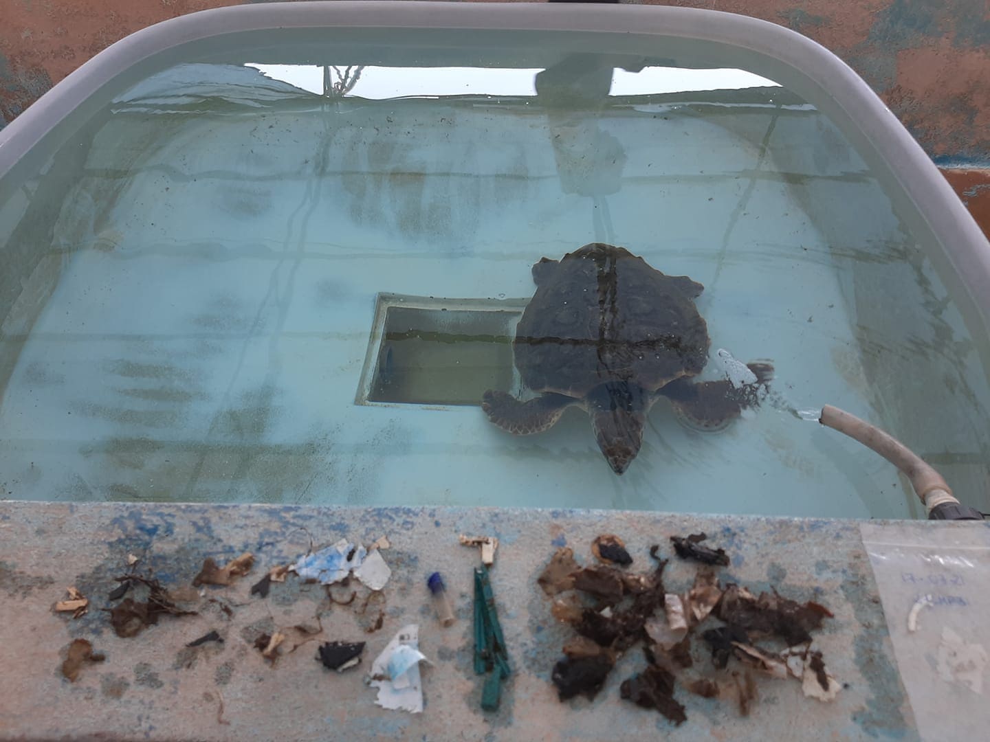 219337188 7259037004145912 7317046783932149570 n