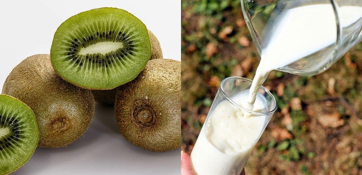 A Latina la plastica (ecosostenibile) si fa con le bucce di kiwi e il latte scaduto